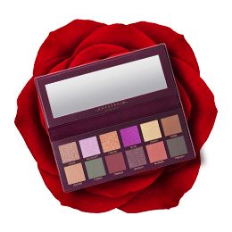 Anastasia Beverly Hills 2023 Fall Romance Palette(13.32gm)