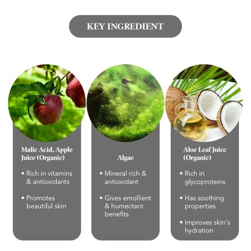 Juice Beauty Green Apple Age Defy Serum 30ml