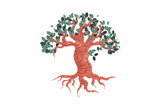 The Honest Tree': Boddess Beauty's Ode to Nature and Wellness